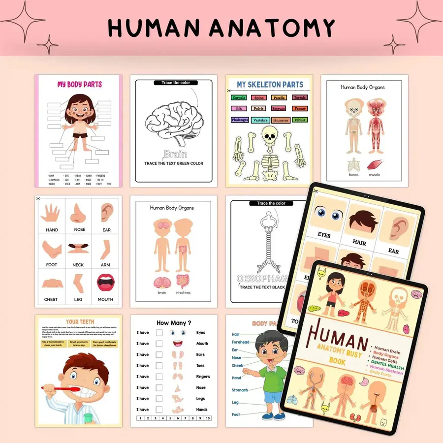 20,000+ Smart Kids Learning Worksheets: The Ultimate Screen-Free Bundle - Image 8